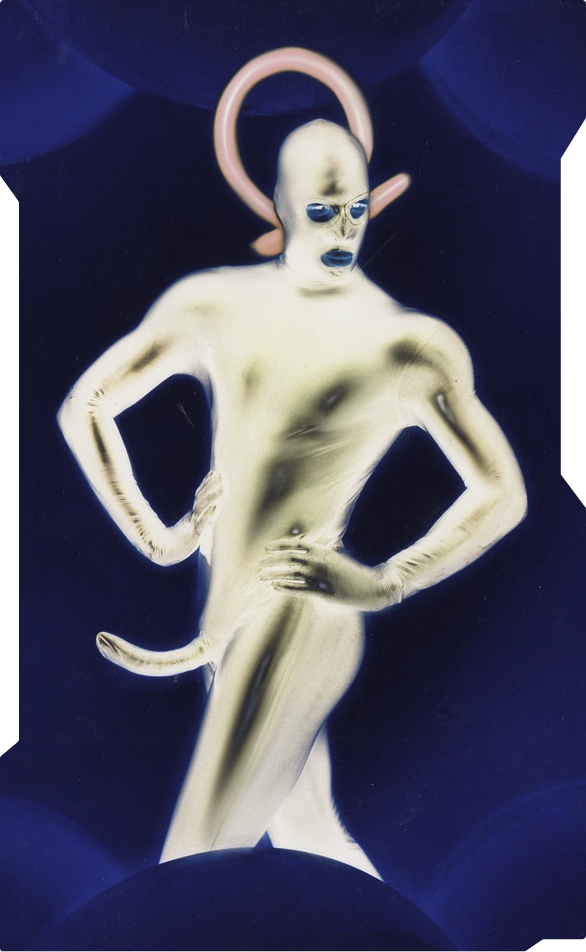 Paradise Pleasure Productions Collection