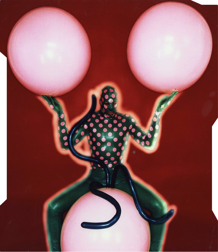 Paradise Pleasure Productions Collection