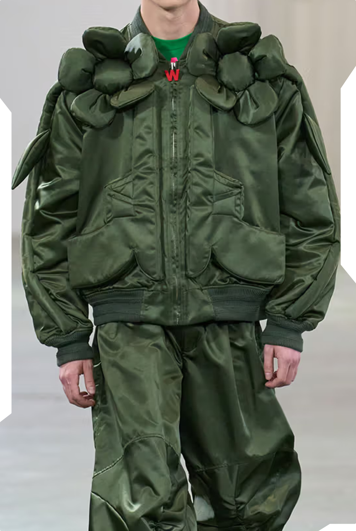 Bold, vibrant lines and tailogring